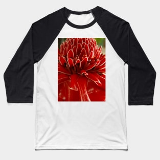 Torch Ginger, Costa Rica, Piedades, Costa Rica Baseball T-Shirt